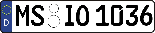 MS-IO1036