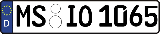 MS-IO1065