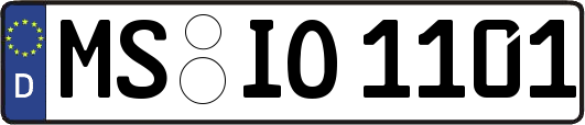 MS-IO1101