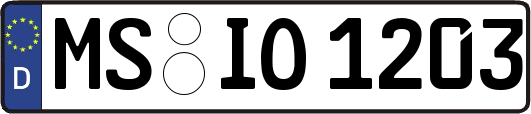 MS-IO1203