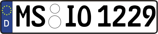 MS-IO1229