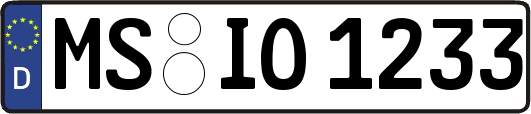 MS-IO1233