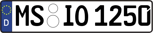 MS-IO1250