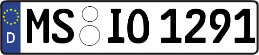 MS-IO1291