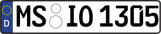 MS-IO1305