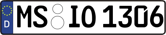 MS-IO1306