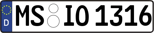 MS-IO1316