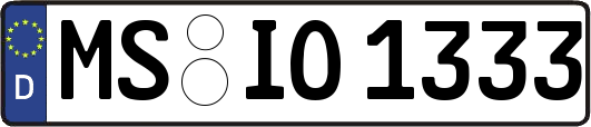 MS-IO1333