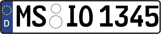 MS-IO1345