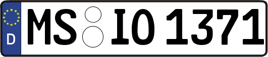 MS-IO1371