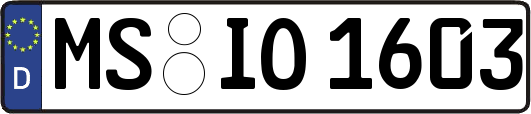 MS-IO1603