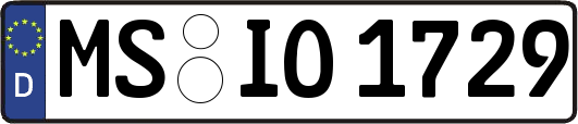 MS-IO1729