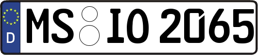 MS-IO2065