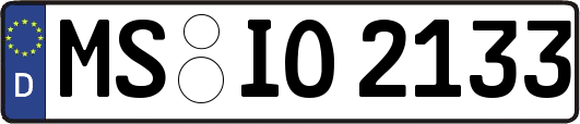 MS-IO2133