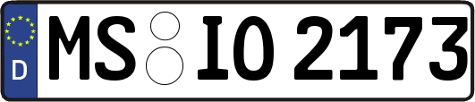 MS-IO2173
