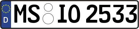 MS-IO2533