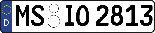 MS-IO2813