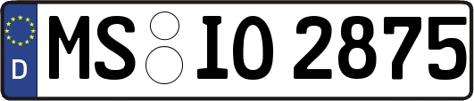 MS-IO2875