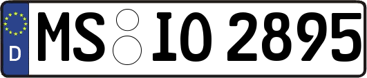MS-IO2895