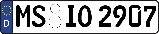 MS-IO2907