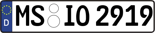 MS-IO2919
