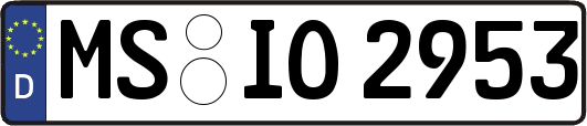 MS-IO2953