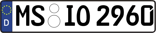 MS-IO2960