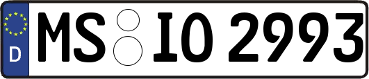 MS-IO2993