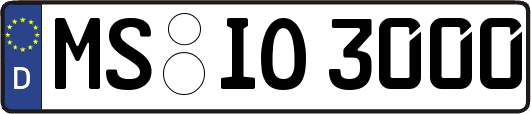 MS-IO3000