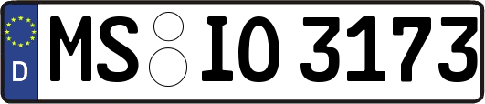 MS-IO3173