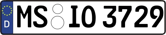 MS-IO3729