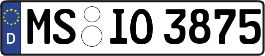 MS-IO3875