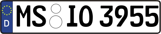 MS-IO3955