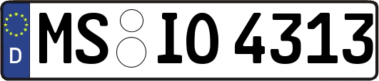 MS-IO4313
