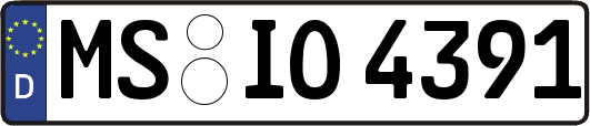 MS-IO4391