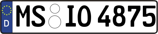 MS-IO4875