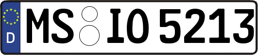 MS-IO5213