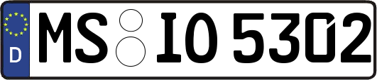 MS-IO5302
