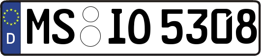 MS-IO5308