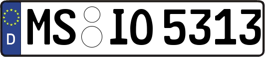 MS-IO5313