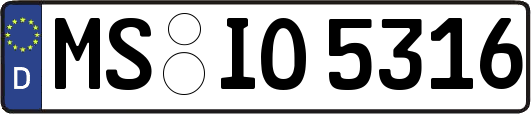 MS-IO5316