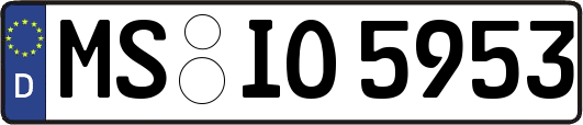 MS-IO5953
