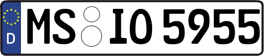 MS-IO5955