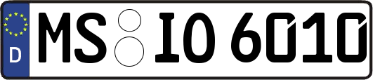 MS-IO6010
