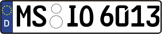 MS-IO6013