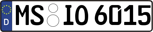 MS-IO6015