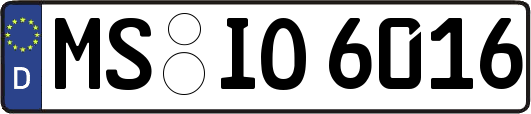 MS-IO6016