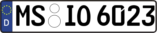 MS-IO6023