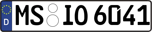MS-IO6041