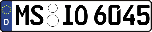 MS-IO6045